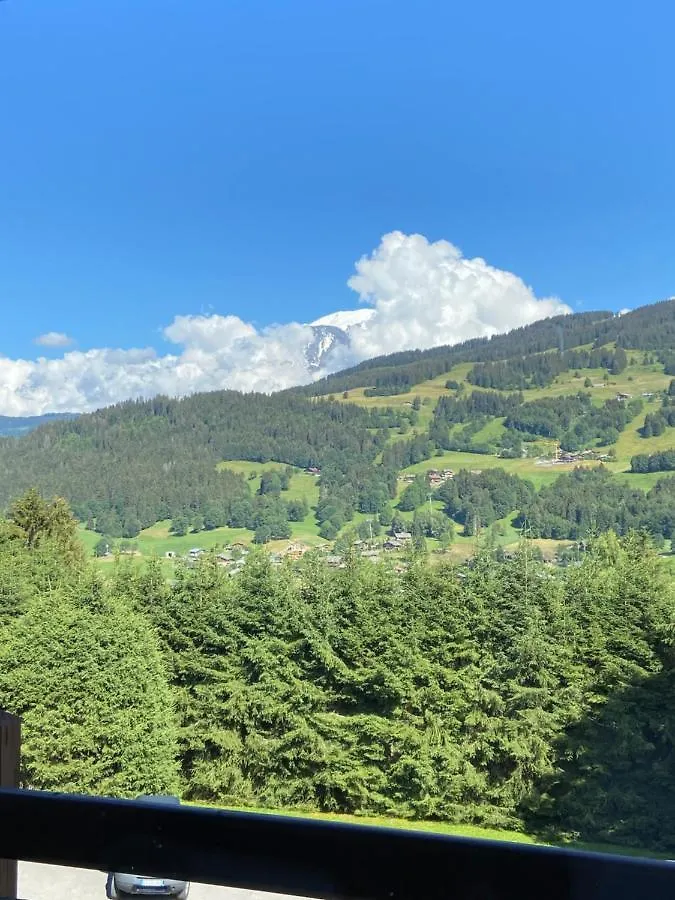Appartement face Mont Blanc Demi-Quartier